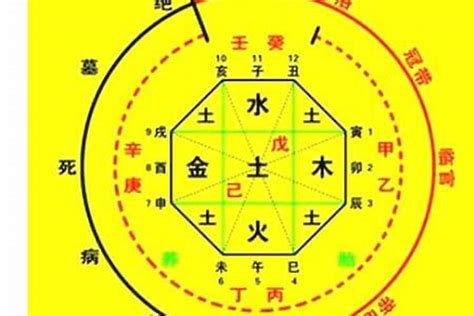 八字怎麼查|免費生辰八字五行屬性查詢、算命、分析命盤喜用神、喜忌